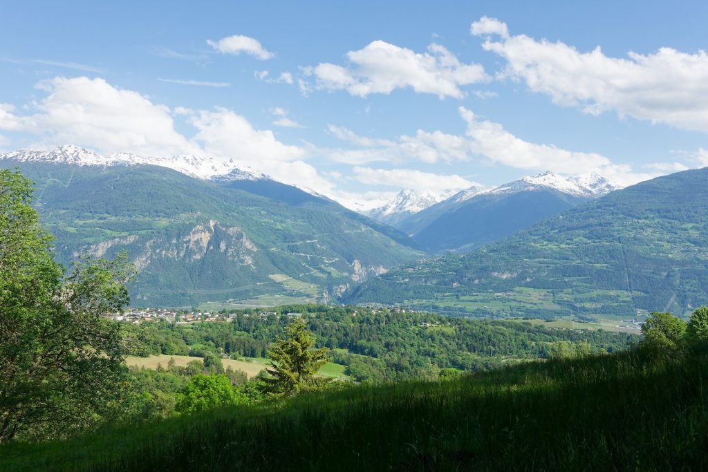 Bisse de Tsanpé et Déjore (05.06.2024)