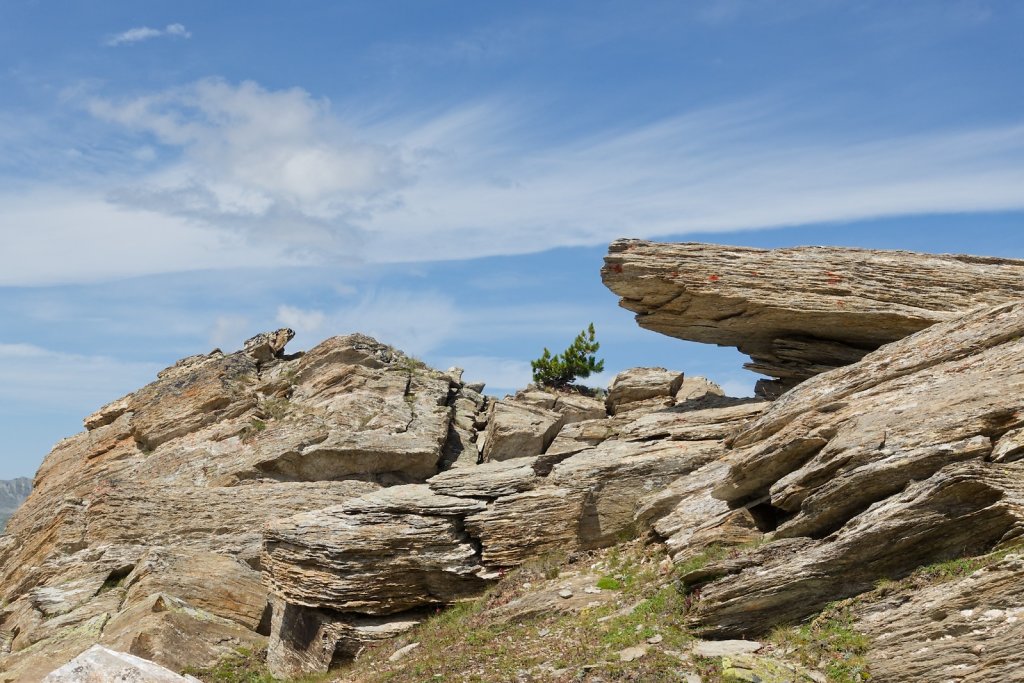 Wannehorn, Grächen (15.08.2024)