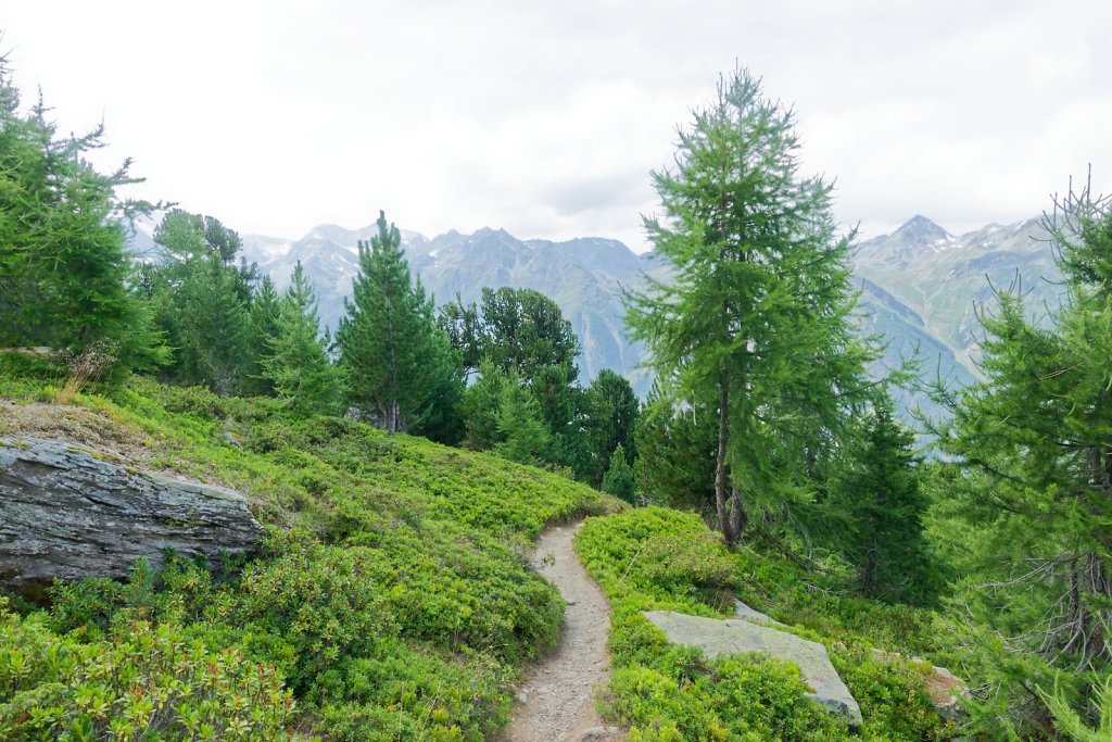 Wannehorn, Grächen (15.08.2024)