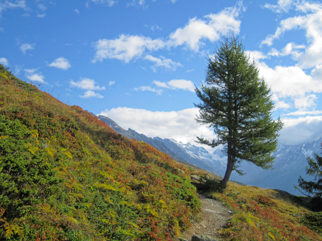 Lauchernalp, Fafleralp (21.09.2024)