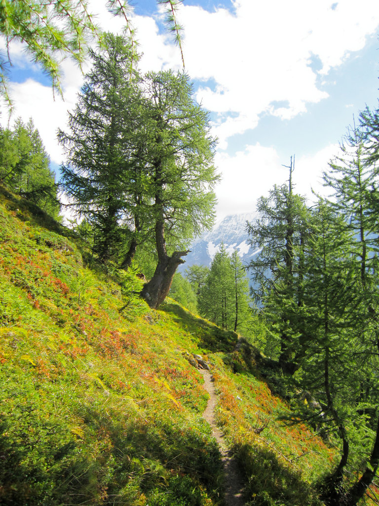 Lauchernalp, Fafleralp (21.09.2024)