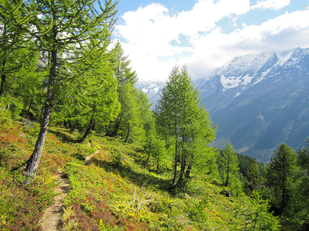 Lauchernalp, Fafleralp (21.09.2024)