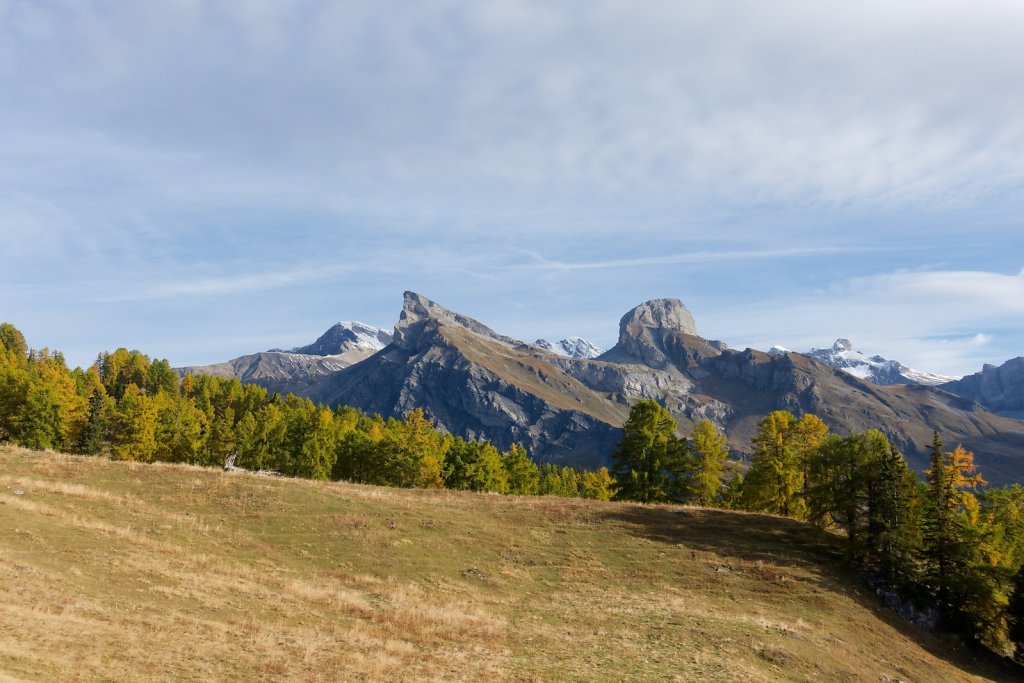 Pointet, Croix de la Chia, Flore (12.10.2024)