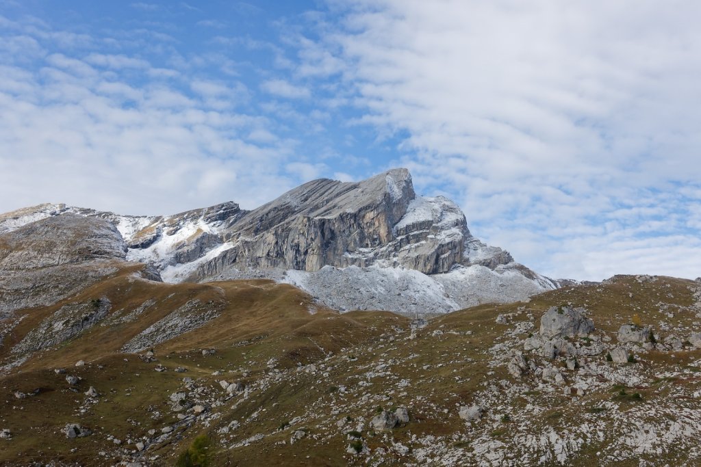 Pointet, Croix de la Chia, Flore (12.10.2024)