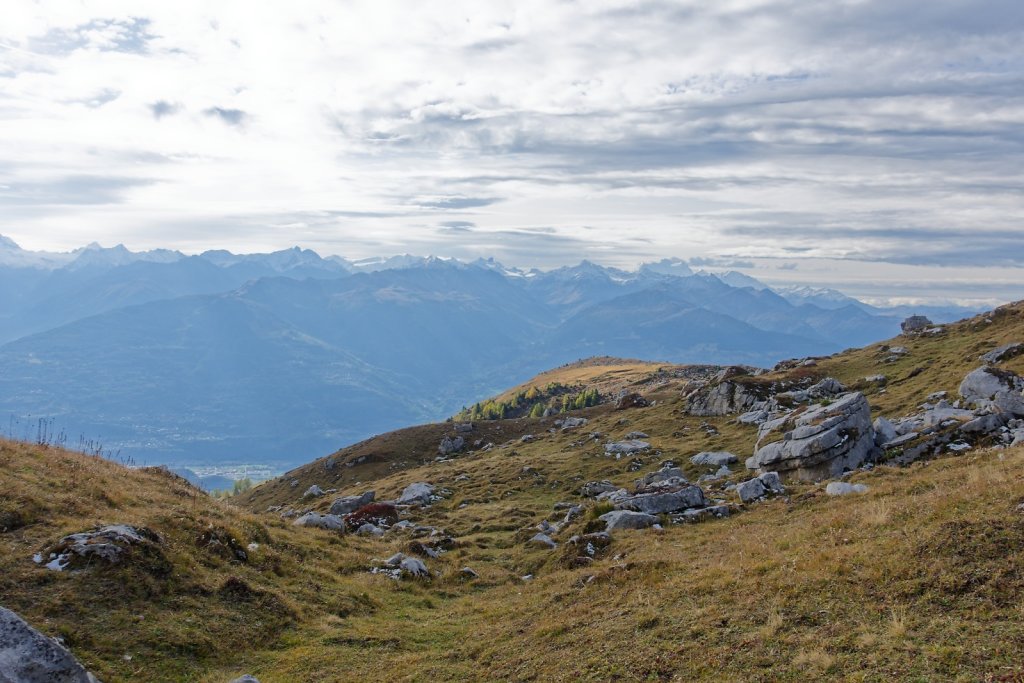 Pointet, Croix de la Chia, Flore (12.10.2024)