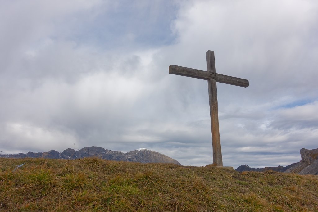 Pointet, Croix de la Chia, Flore (12.10.2024)