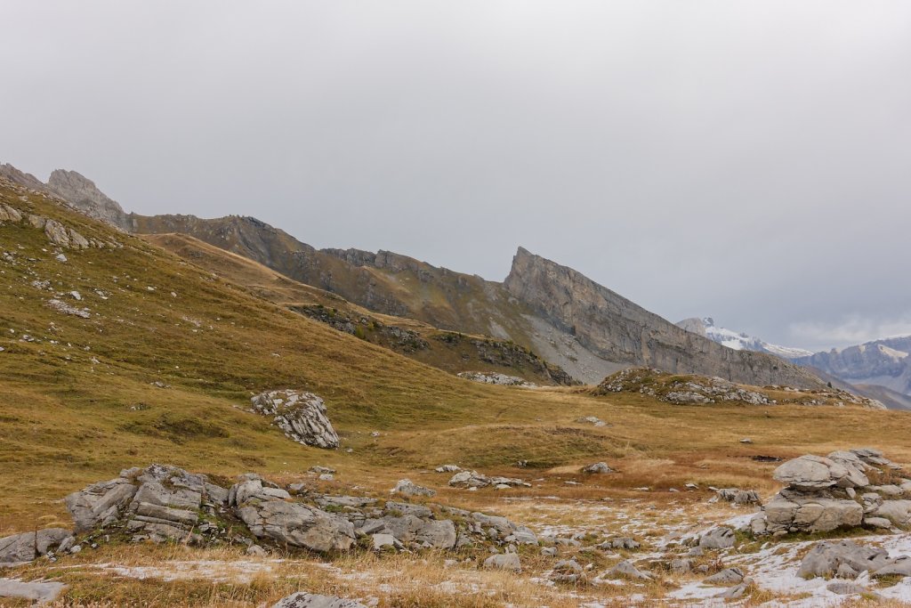 Pointet, Croix de la Chia, Flore (12.10.2024)