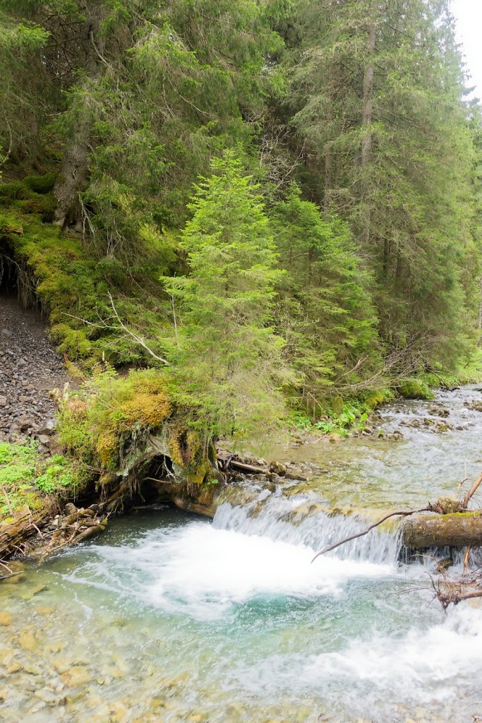 Morgins, Tovassière (10.05.2025)