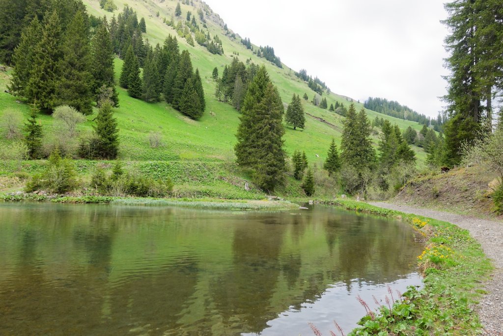 Morgins, Tovassière (10.05.2025)