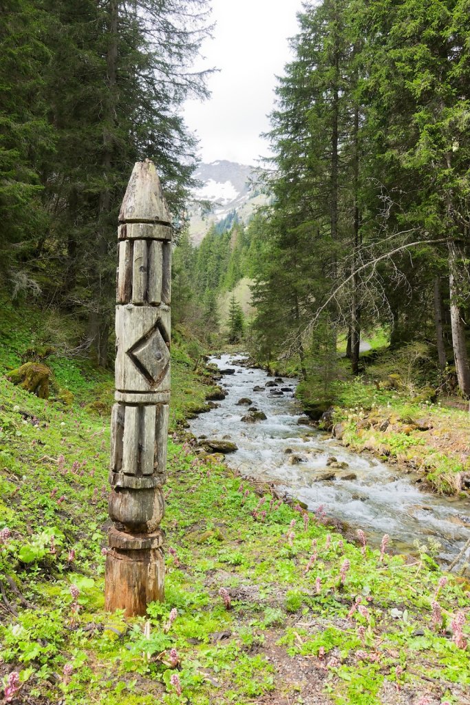 Morgins, Tovassière (10.05.2025)