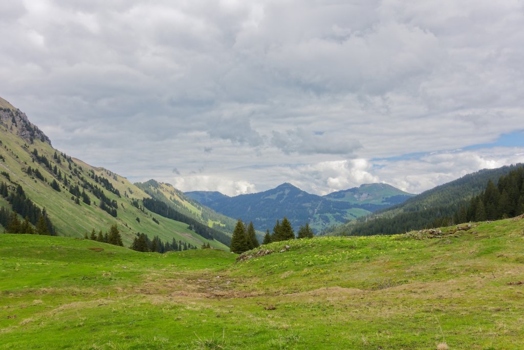 Morgins, Tovassière (10.05.2025)
