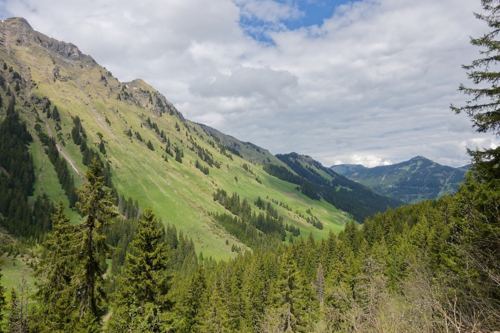 Morgins, Tovassière (10.05.2025)