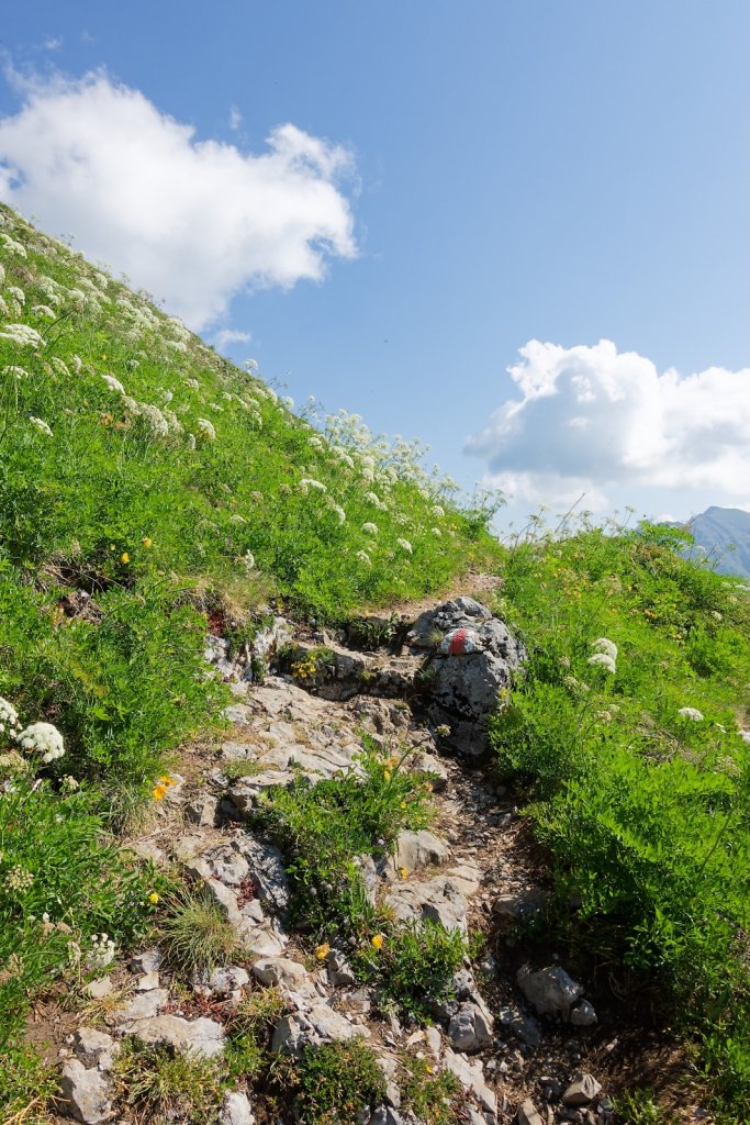 Leysin, Truex (19.09.2025)