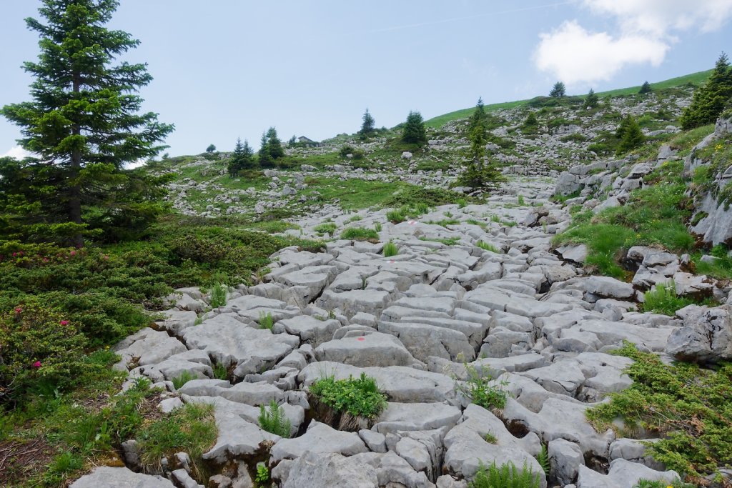 Leysin, Truex (19.09.2025)