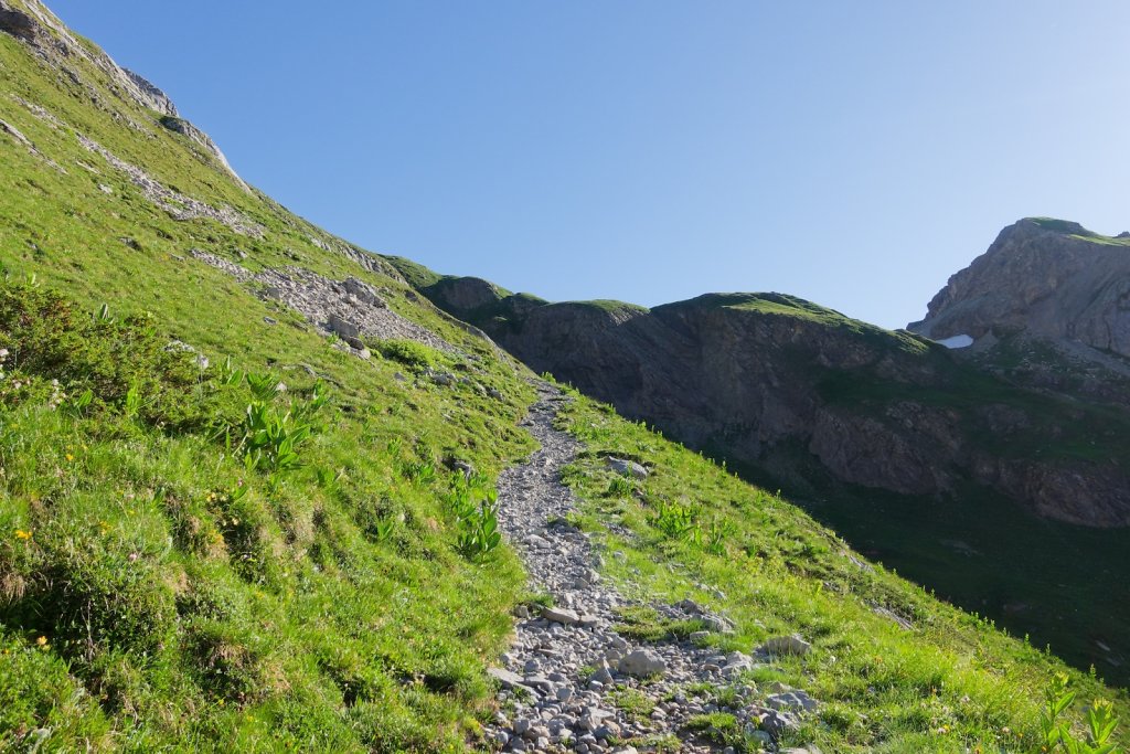 Tseuzier, Plan des Roses (28.06.2025)