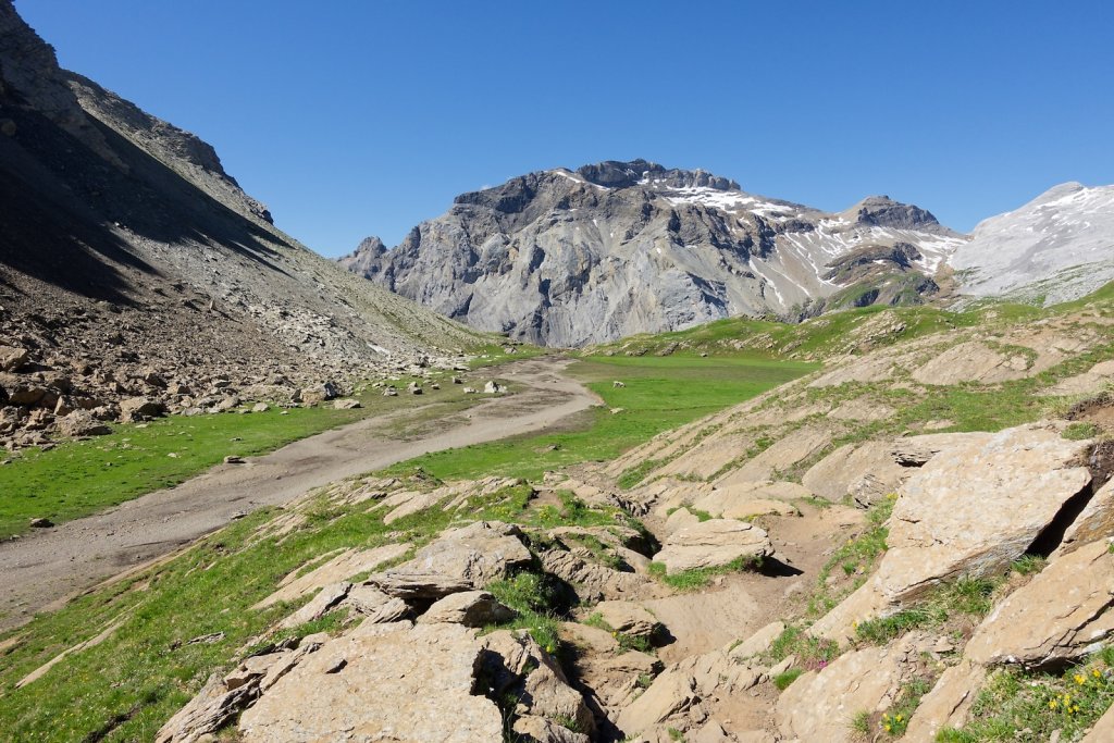 Tseuzier, Plan des Roses (28.06.2025)