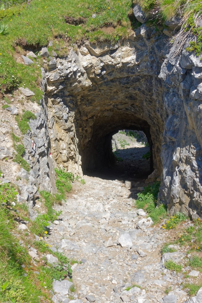 Tseuzier, Plan des Roses (28.06.2025)